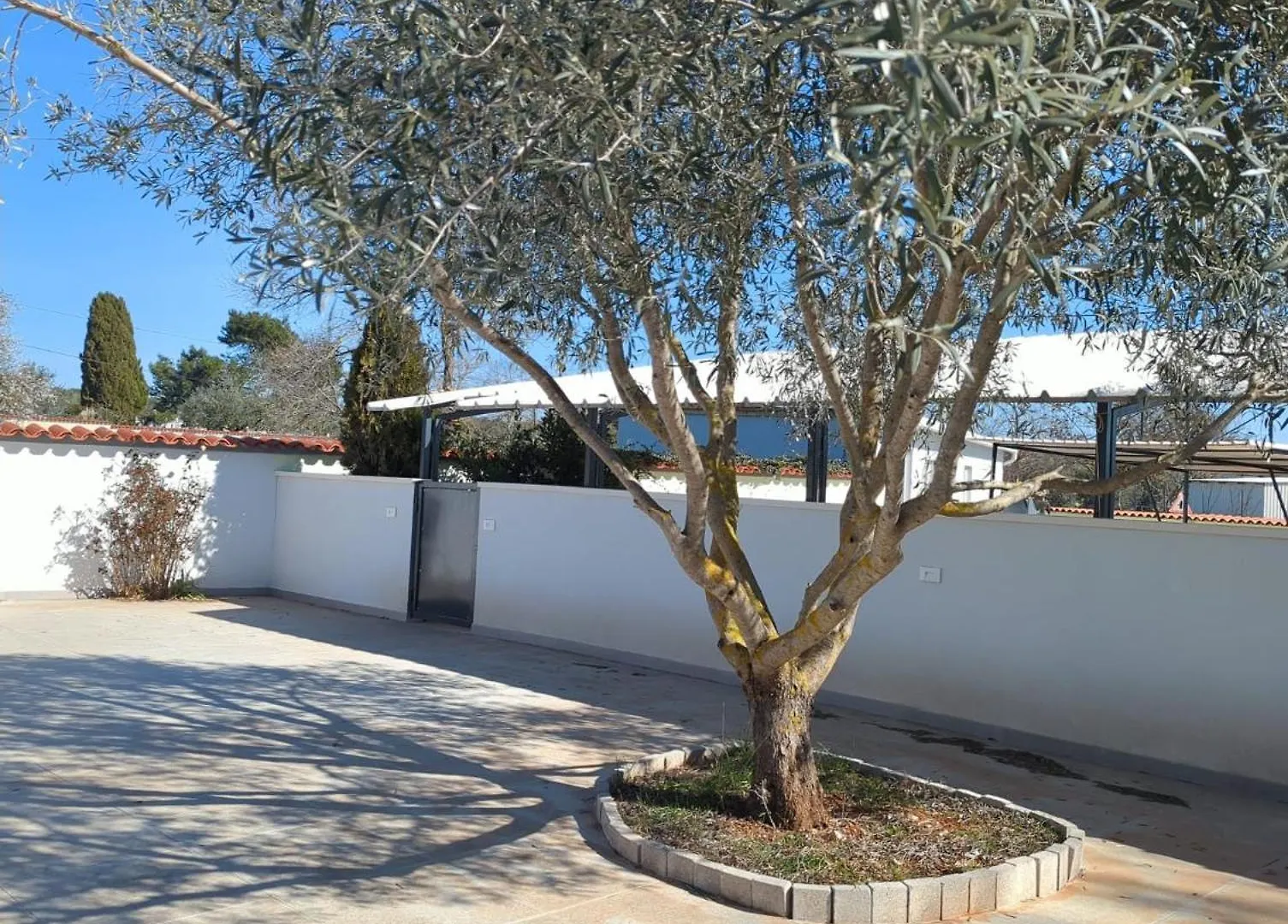Apolo Apartments بولا